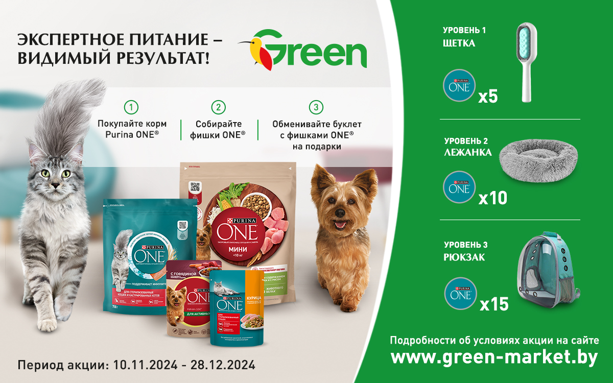 РАДОСТЬ ДЛЯ ПИТОМЦА В GREEN!